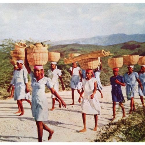 6e3896e0b4cb730b38ca4a13865dde3e